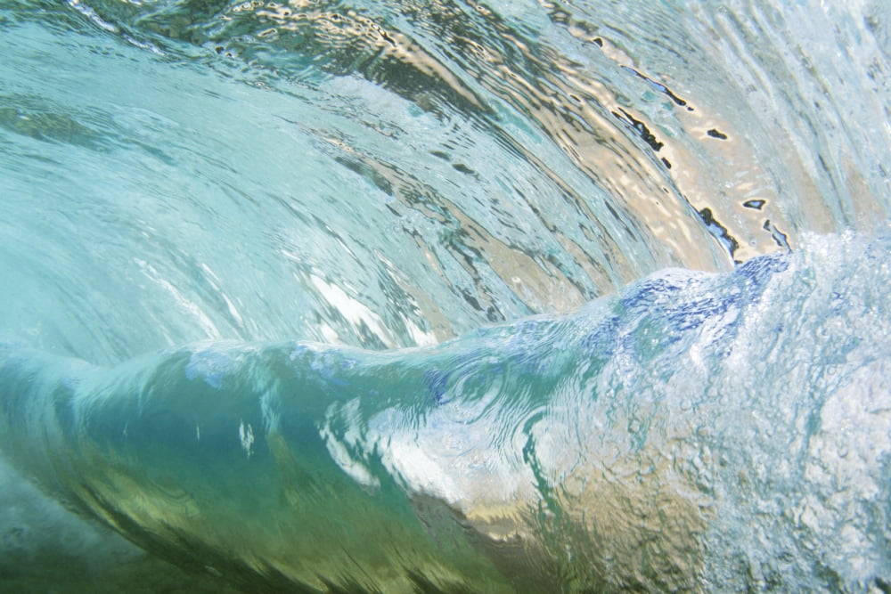 Hawaii Underwater View Of Wave Canvas Art - Vince Cavataio Design Pics (38 x 24)
