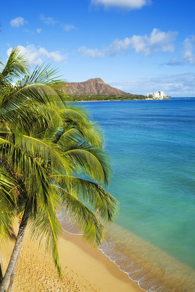 Hawaii Waikiki View Of Diamond Head Canvas Art - Dana Edmunds Design Pics (11 x 17)