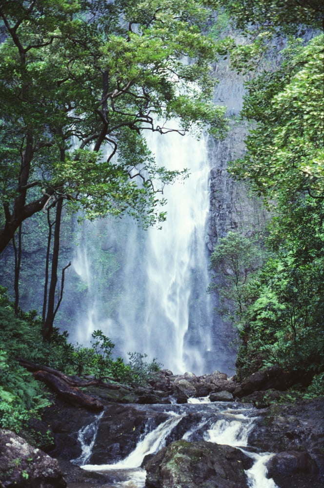 Hawaii Waterfalls Cascading Down Rocky Cliff Trees Overlook Stream In Foreground Canvas Art - Liysa Swart  Design Pics (12 x 19)
