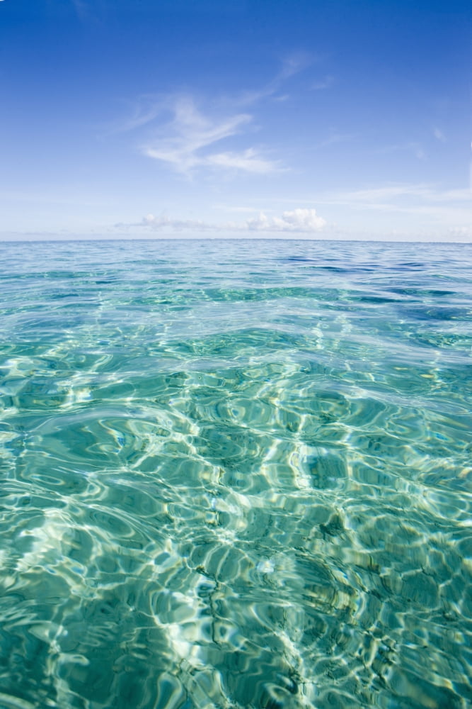 Hawaii White Cloud Over Turquoise Water Canvas Art - M Swiet Productions Design Pics (24 x 36)