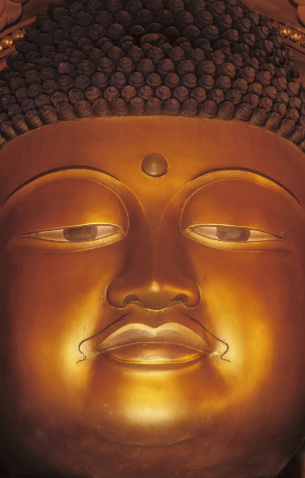 Hawaii Windward Oahu Valley Of The Temples Byodo Inn Close-Up Of Buddha Statue Canvas Art - Greg Vaughn Design Pics (22 x 34)
