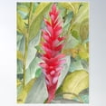 thumbnail image 1 of Hawaiian Beauty Poster Wall Art, Modern Wall Decor For Living Room Bedroom, 8x12 UNFRAMED, 1 of 3