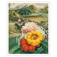 thumbnail image 1 of Hawaiian Blessings - Cover of a Hawai’i Tourist Bureau Booklet - Vintage Hawaiian Travel Brochure by Andre c.1942 - Fine Art Matte Paper Print (Unframed) 16x20in, 1 of 4