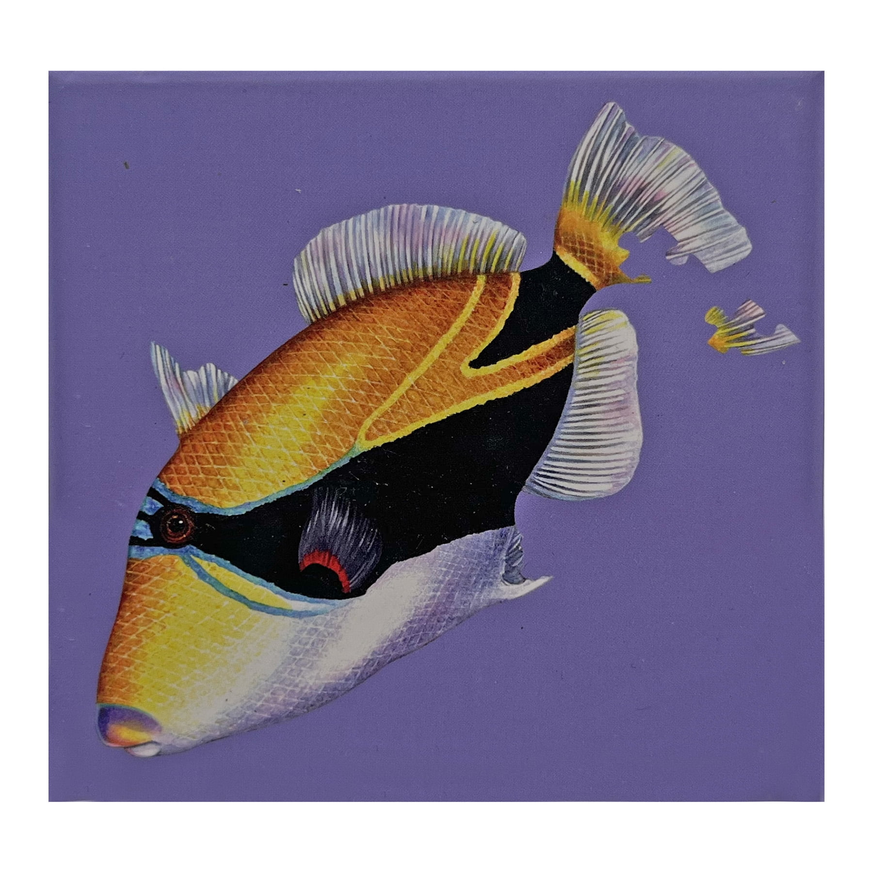 Hawaiian Collectible Wiki Wiki 20min Humuhumu Puzzle