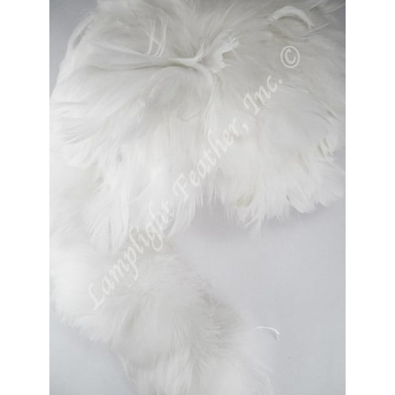Hawaiian Feather Lei Coquilles White Strung per Ounce