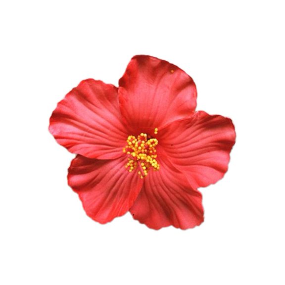 Hawaiian Flower Hair Clip For Women Girls,Artificial Clips Foam Flower Clips Bridal Beach Pa Wedding For Women Luau