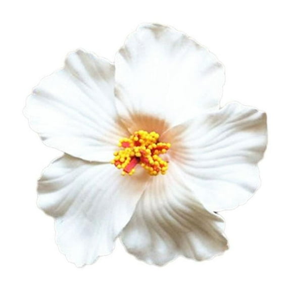 Hawaiian Flower Hair Clip forWomen Girl Fashion Bohemian Hair Flowers A5P0