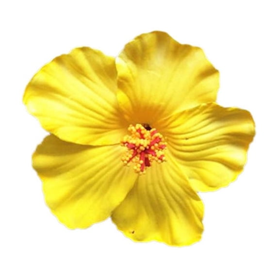 Hawaiian Flower Hair Clip forWomen Girl Fashion Bohemian Hair Flowers I6H2