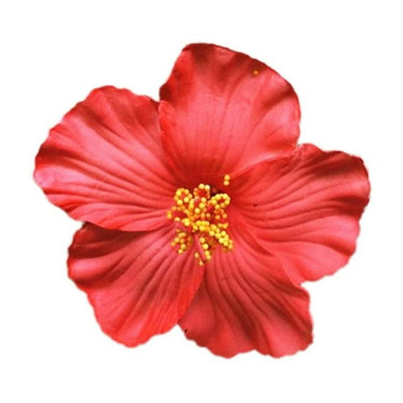 Hawaiian Flower Hair Clip forWomen Girl Fashion Bohemian Hair Flowers Z1G8