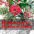 thumbnail image 1 of Hawaiian Flowers &amp; Plants, (Paperback), 1 of 1