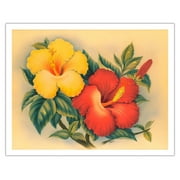 Hawaiian Hibiscus - Hawai’i State Flower - Vintage Hawaiian Airbrush Art by Eve Hawaii c.1940s - Fine Art Matte Paper Print (Unframed) 11x14in