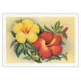 thumbnail image 1 of Hawaiian Hibiscus - Hawai’i State Flower - Vintage Hawaiian Airbrush Art by Eve Hawaii c.1940s - Fine Art Rolled Canvas Print 27in x 40in, 1 of 4