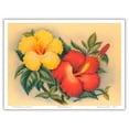 thumbnail image 1 of Hawaiian Hibiscus - Hawai’i State Flower - Vintage Hawaiian Airbrush Art by Eve Hawaii c.1940s - Master Art Print (Unframed) 9in x 12in, 1 of 4