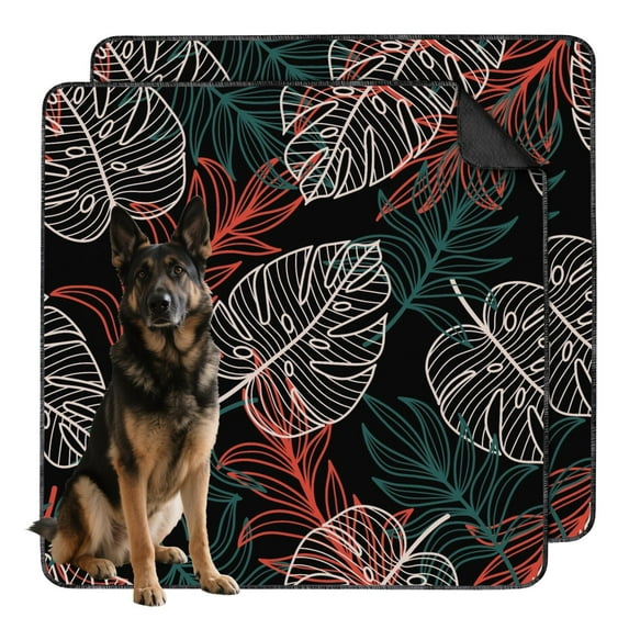 Illustration of What Absorbent Leaves Safe For Dogs