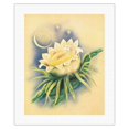 thumbnail image 1 of Hawaiian Night Blooming Cereus (Panini o Kapunahou) - Honolulu Queen of the Night - Vintage Hawaiian Airbrush Art by Ted Mundorff c.1940s - Fine Art Rolled Canvas Print 16in x 20in, 1 of 4