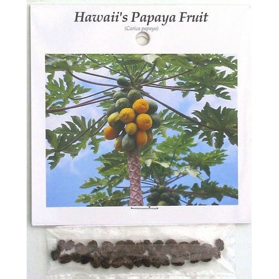 Hawaiian Papaya Fruit Seeds ~ Grow Hawaii (Pack of 10)