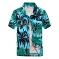 thumbnail image 1 of Hawaiian Shirt Cashew Flower 3D-Printed Abstract Simple Casual Short Sleeve Shirt Loose Summer Shirt For Men And Women, 1 of 7