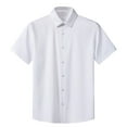 thumbnail image 1 of Hawaiian Shirts for Men Regular Fit Short Sleeve Mens Hawaiian Shirts with Large Variety of Colors and Designs Available, 1 of 3