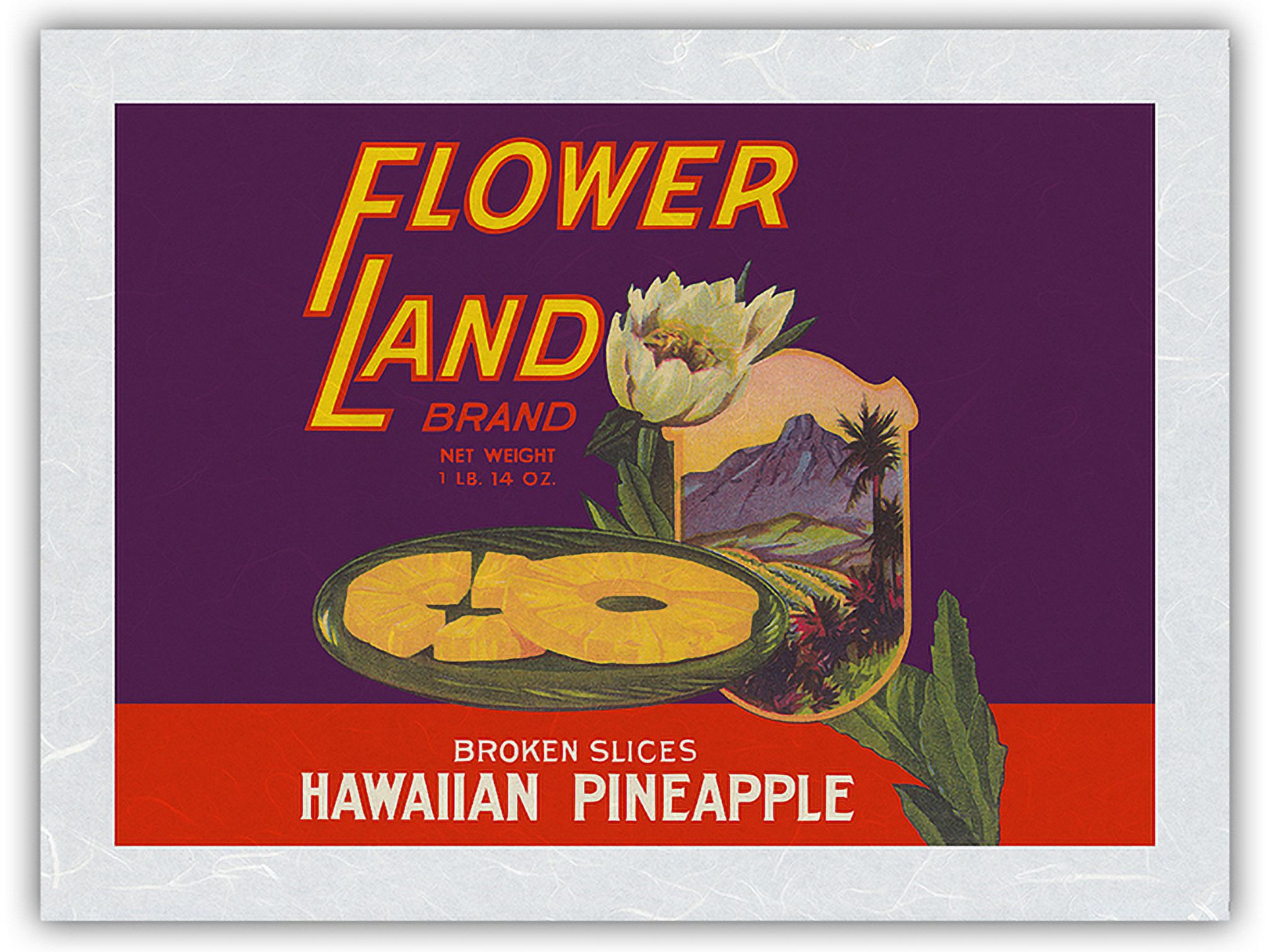 Hawaiian Sliced Pineapple - Flower Land Brand - Vintage Canned Fruit