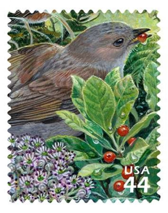 Hawaiian Thrush Canvas Art - US POSTAL SERVICE (22 x 28)