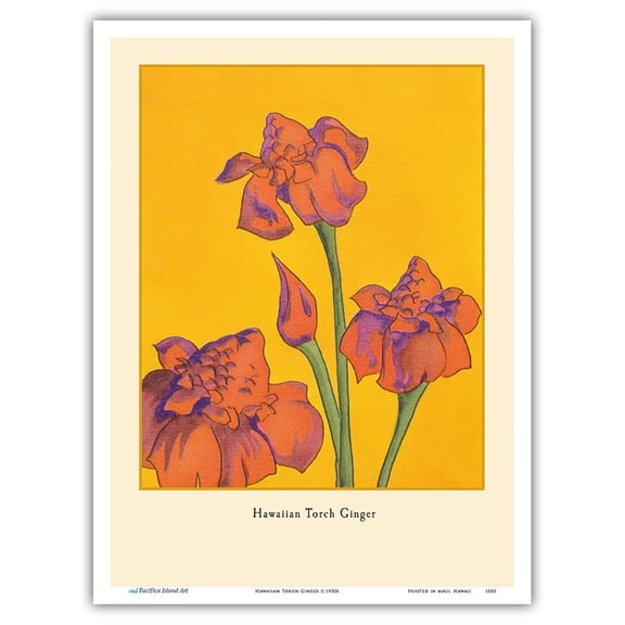 Hawaiian Torch Ginger - Vintage Hawaiian Christmas Card c.1930s - Master Art Print (Unframed) 9in x 12in