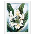 thumbnail image 1 of Hawaiian White Ginger (Awapuhi Ke'oke'o) - Vintage Hawaiian Airbrush Art by Ted Mundorff c.1940s - Fine Art Rolled Canvas Print 20in x 26in, 1 of 4