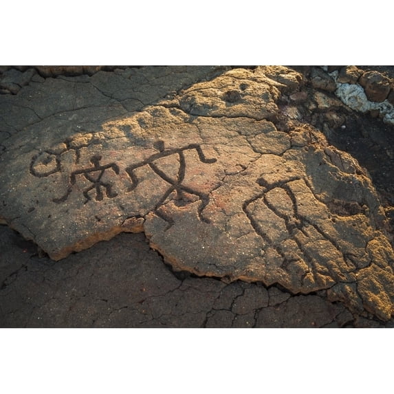 Hawaiian petroglyphs on the Kings Trail at Waikoloa Kohala Coast Big Island Hawaii USA Poster Print by Russ Bishop