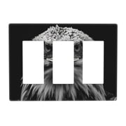 Hawk Black White Switch Cover Decorative Wall Plate 3-Gang Screwless Standard Size
