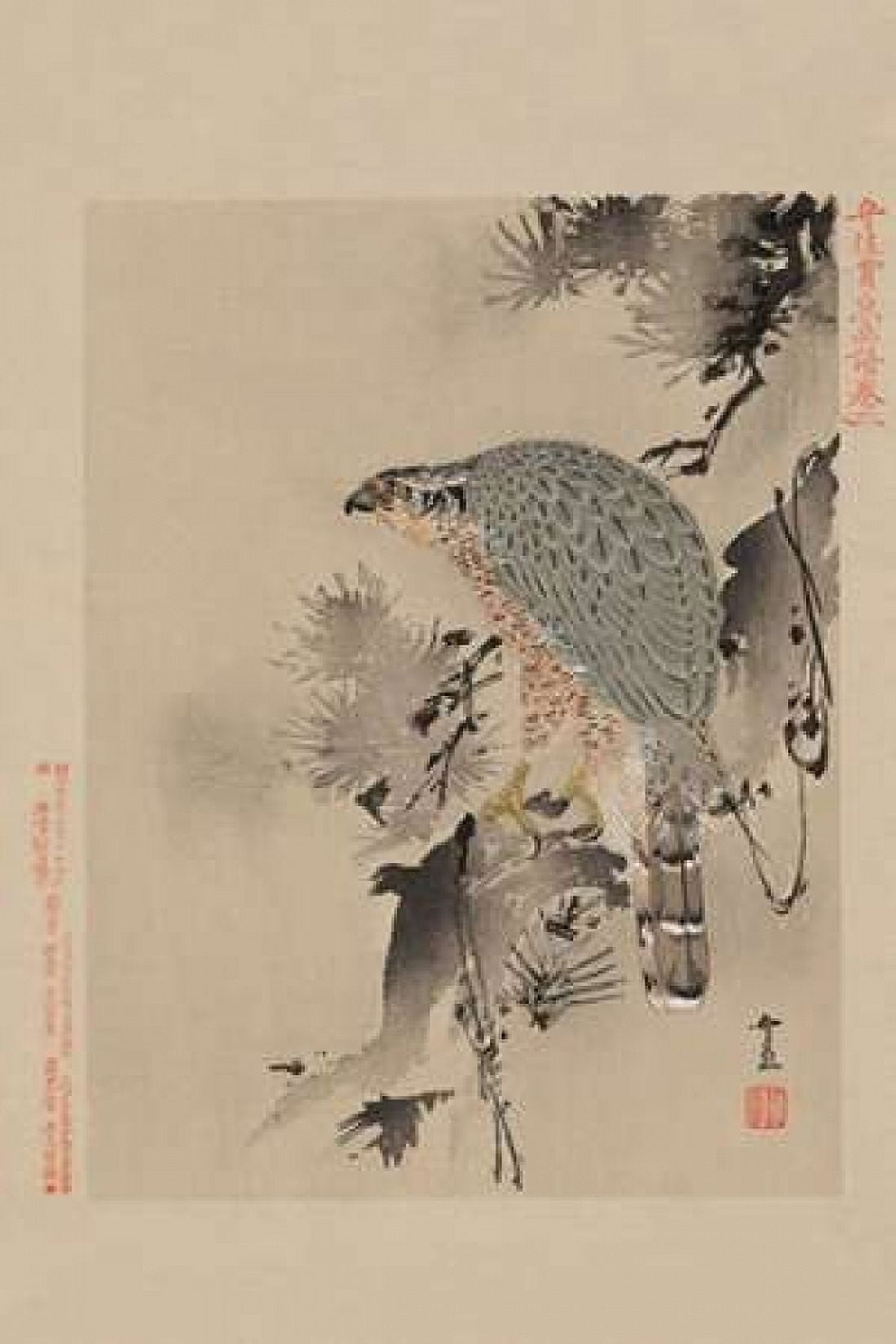 Hawk Canvas Art - Unknown (24 x 36)