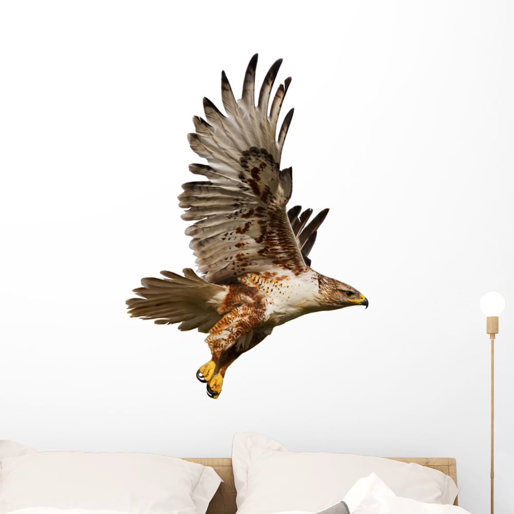 Hawk Flight Wall Decal Sticker, Wallmonkeys Peel & Stick Vinyl Graphic ...