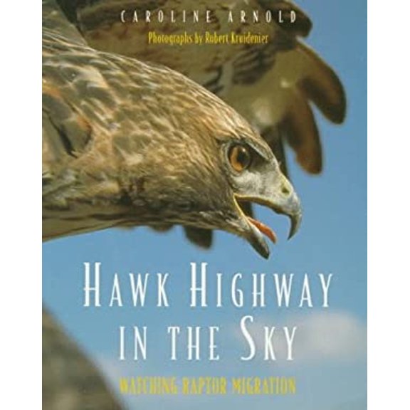 Pre-Owned Hawk Highway in the Sky: Watching Raptor Migration (Paperback) 0152000402 9780152000400