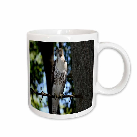3drose, Hawk Looking for His Next Meal, 15oz Mug