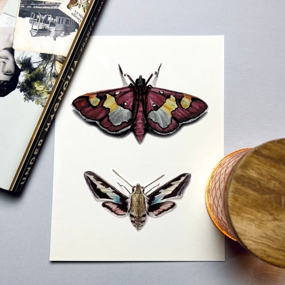 Hawk Moth Insect Wall Art Print, Unframed Paper Poster 8x10in