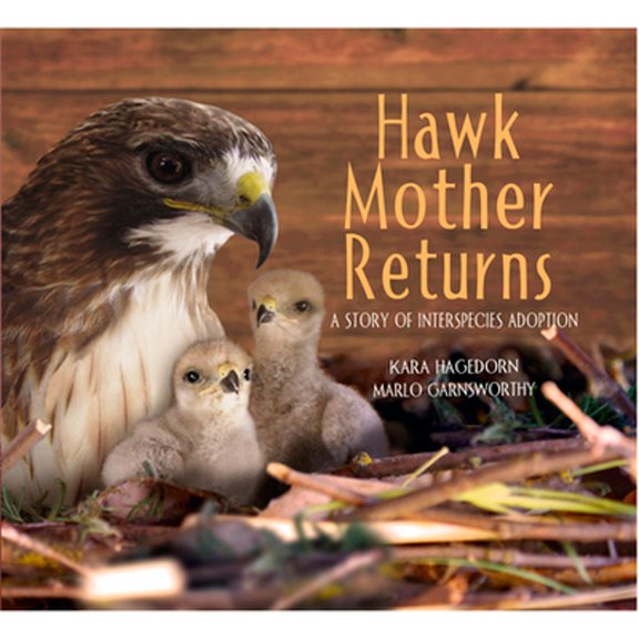 Pre-Owned Hawk Mother Returns : A Story of Interspecies Adoption (Hardcover) 9781970039085