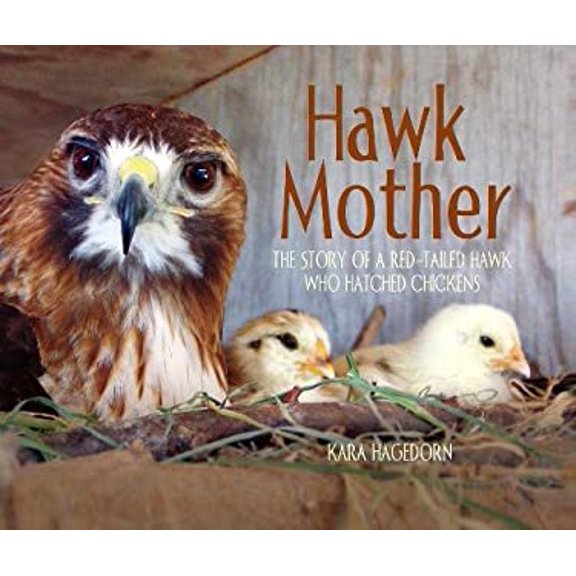 Pre-Owned Hawk Mother Hawk Mother: The Story of a Red-Tailed Hawk Who Hatched Chickens, Book 1, (Hardcover)