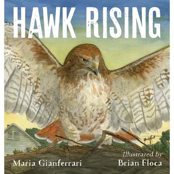 Hawk Rising (Hardcover)