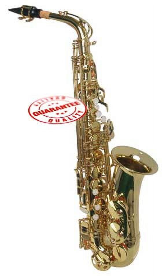 Hawk 2024 alto saxophone