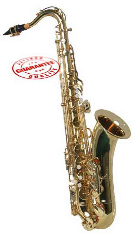 Hawk Tenor Saxophone Lacquer Finish with Case, Mouthpiece and Reed