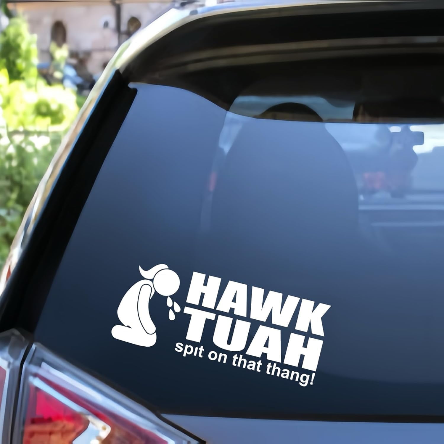 Hawk Tuah Spit On That Thang Funny Car Decals Stickers, Spit On That Thing Hawk Tush Spit On