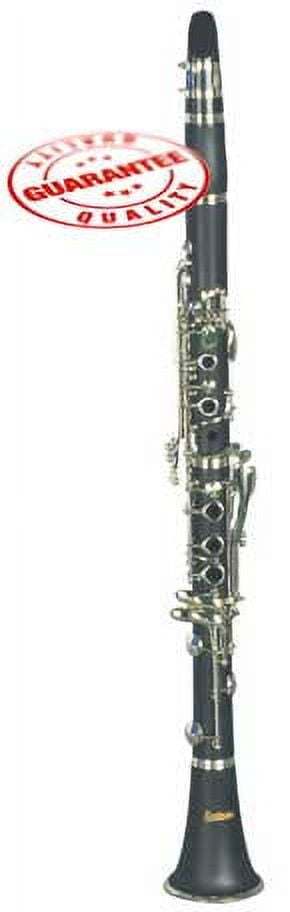 Hawk WD-C212 Bb Clarinet Outfit Matte Finish with Case, Mouthpiece and Reed