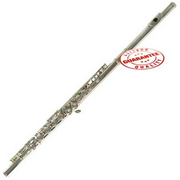 Hawk WD-F111 Closed Holed Student Flute with Case, Nickel Plated