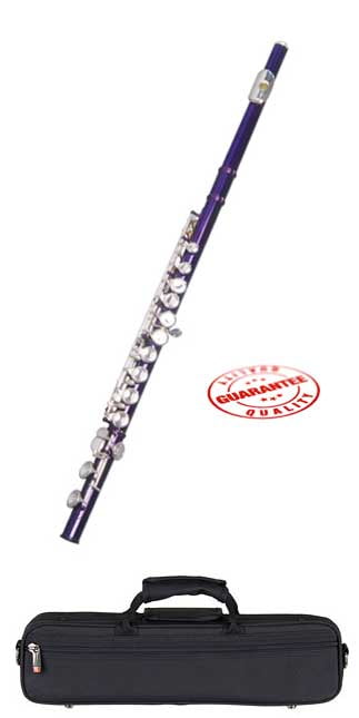 Hawk WD-F113-PL Closed Hole C Flute with Case, Purple