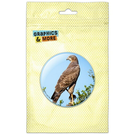 Hawk in Tree Refrigerator Button Magnet