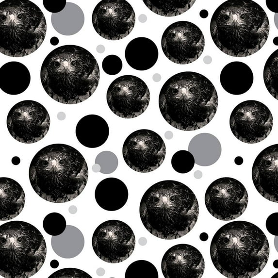 Hawk on Black and White Raptor Avian Premium Gift Wrap Wrapping Paper Roll Pattern