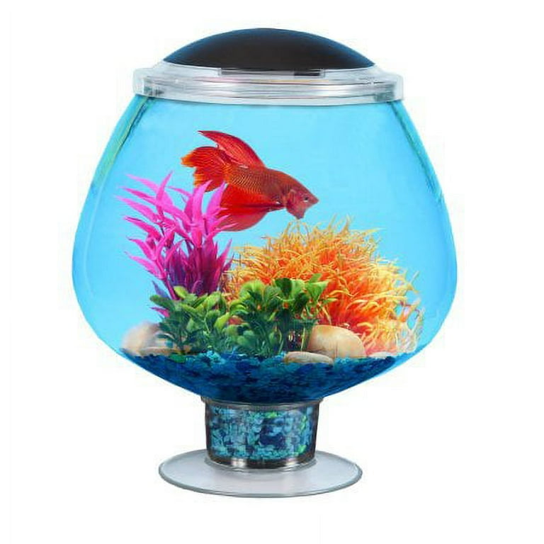 Hawkeye 1.7 Gallon Betta Tank with LED Lighting Plus 5 Volt Adapter AP17000PG
