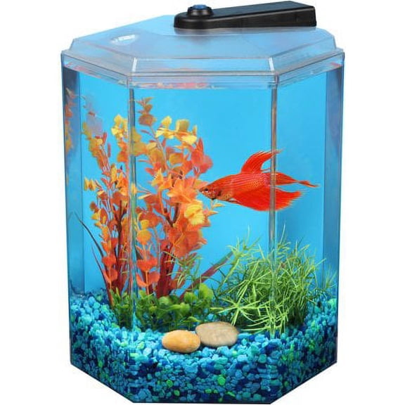 Hawkeye 1.7-Gallon Hex Betta Kit with LED Lighting PLUS 5-Volt Adapter