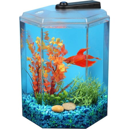 Hawkeye 1.7-Gallon Hex Betta Kit with LED Lighting PLUS 5-Volt Adapter