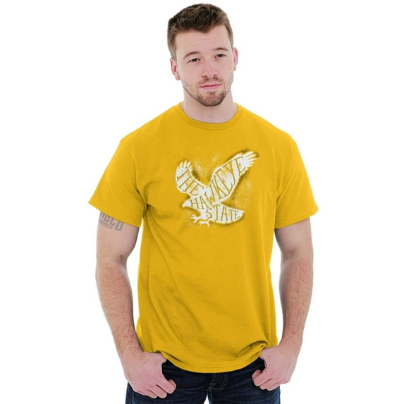 Hawkeye State Cool Stencil Iowa Hawk Men's Graphic T Shirt Tees Brisco Brands L