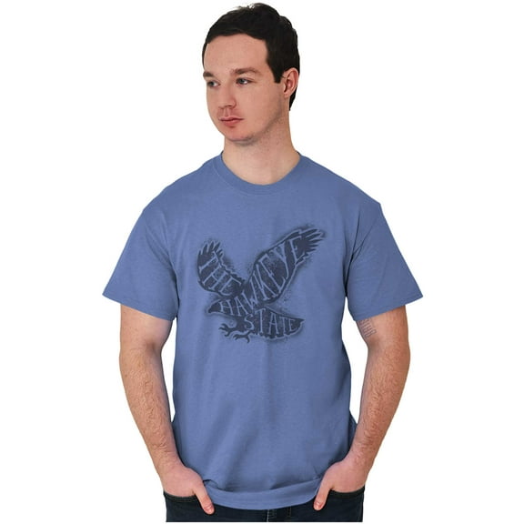 Hawkeye State Cool Stencil Iowa Hawk Plus Size Crewneck Graphic Tee Shirt Brisco Brands 3X