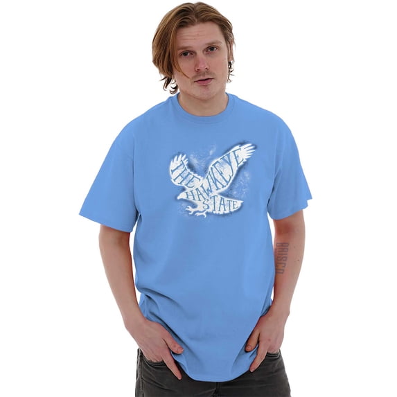 Hawkeye State Cool Stencil Iowa Hawk Plus Size Crewneck Graphic Tee Shirt Brisco Brands 4X